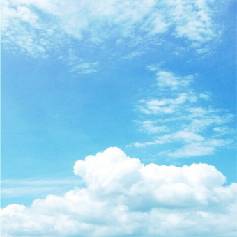 작성자 프로필 이미지