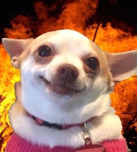 작성자 프로필 이미지