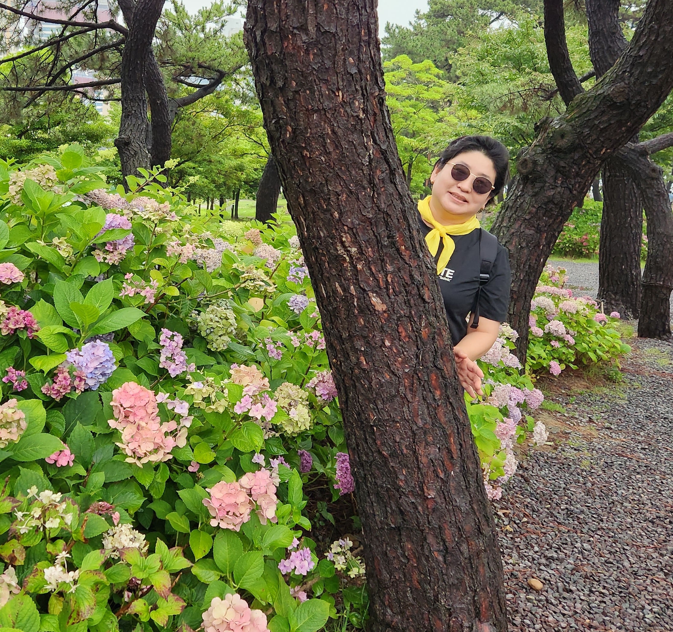 작성자 프로필 이미지