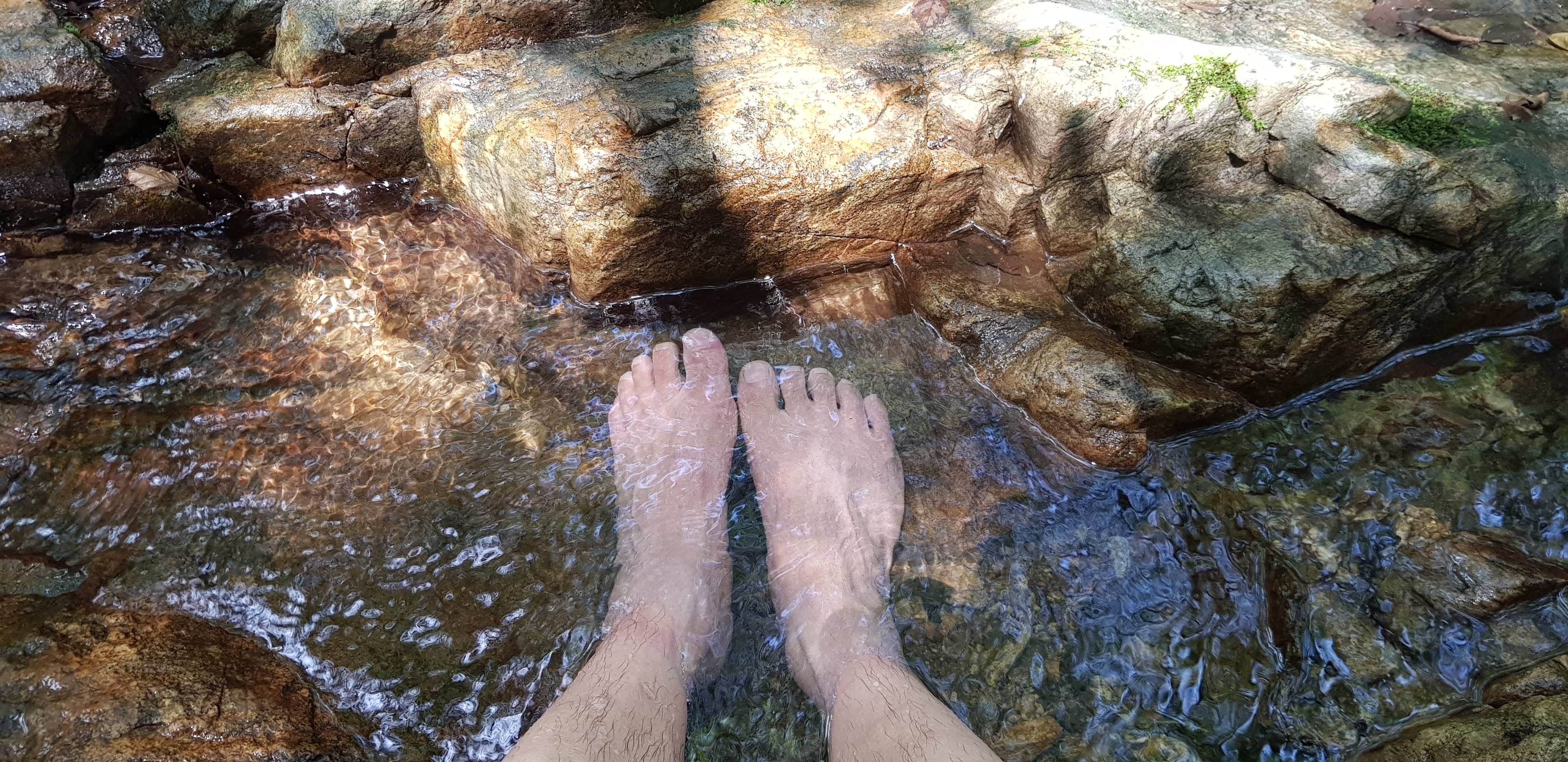 작성자 프로필 이미지