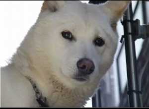 작성자 프로필 이미지