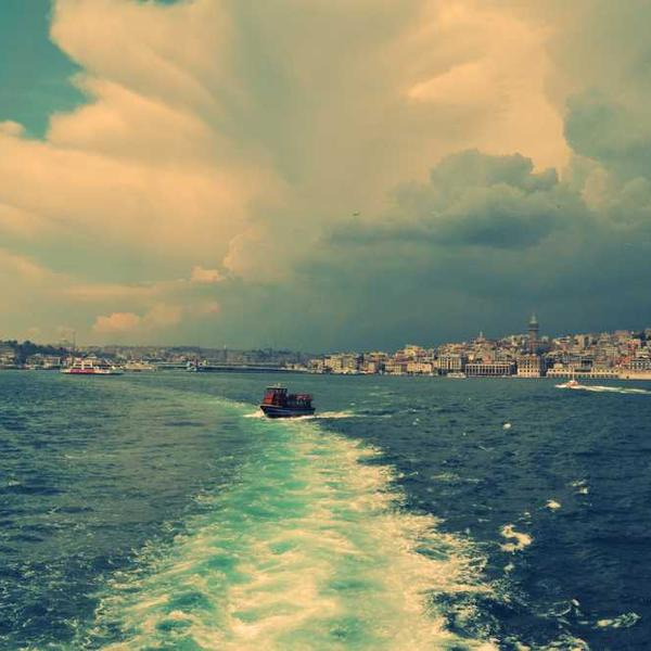 작성자 프로필 이미지