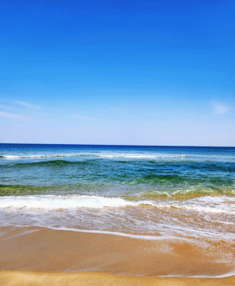 작성자 프로필 이미지