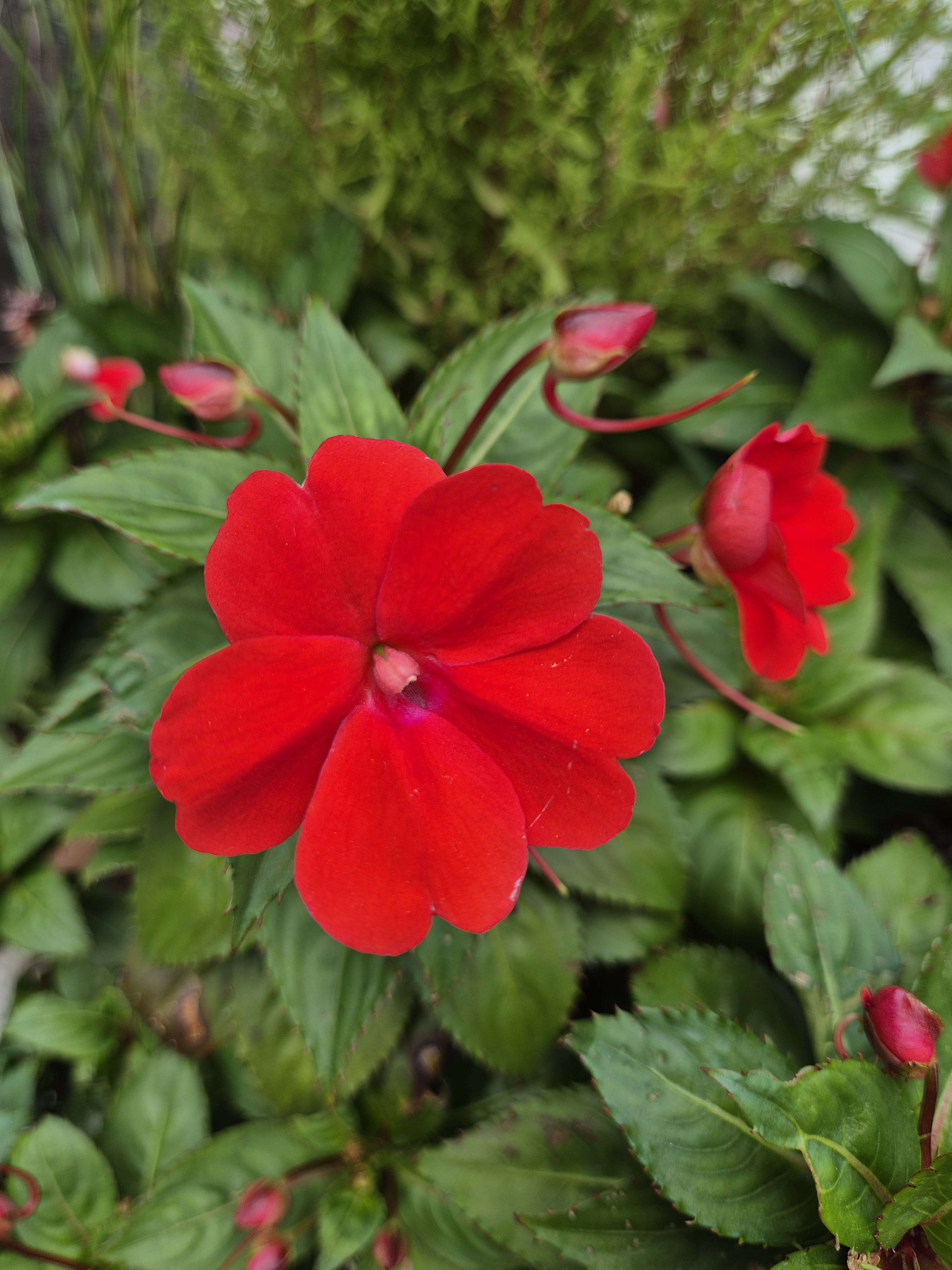 작성자 프로필 이미지