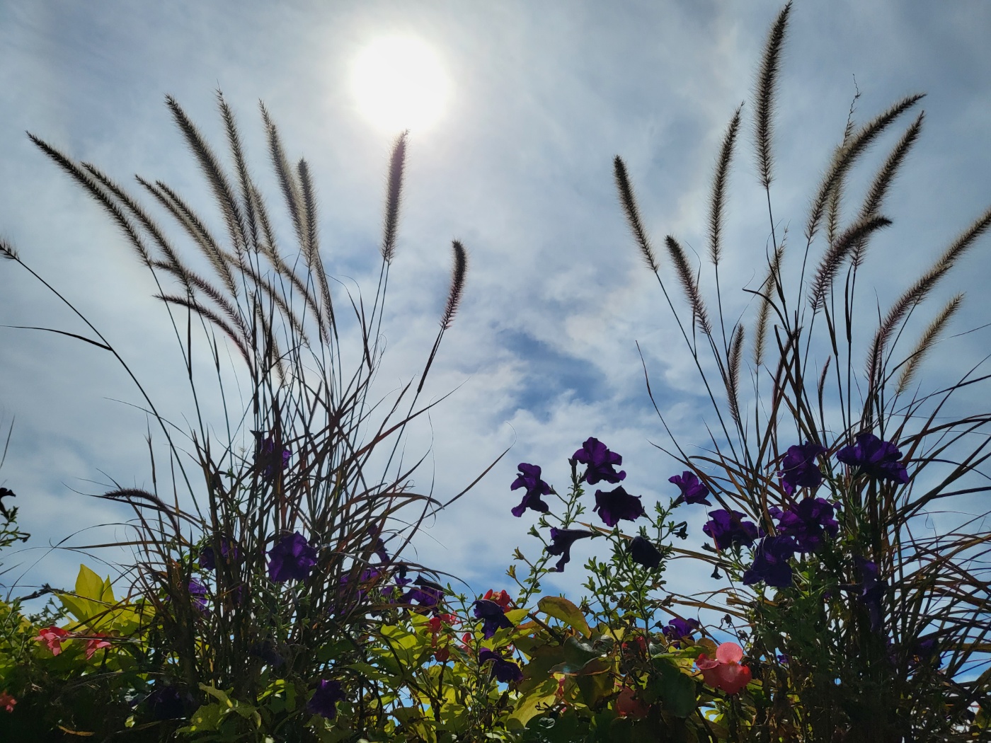 작성자 프로필 이미지