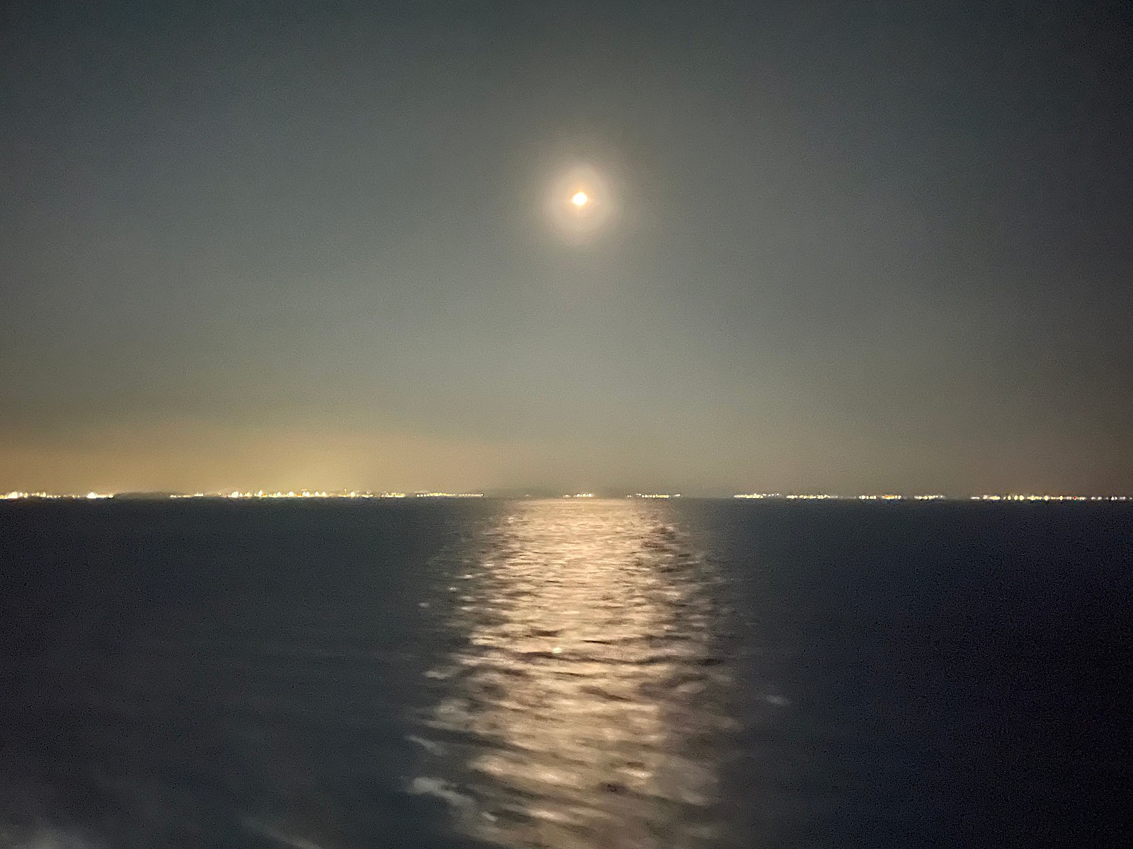 작성자 프로필 이미지