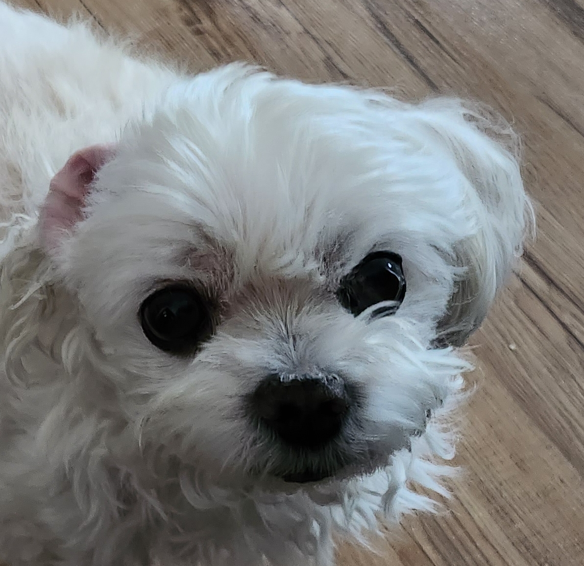 봉천동 휘발유 프로필 이미지