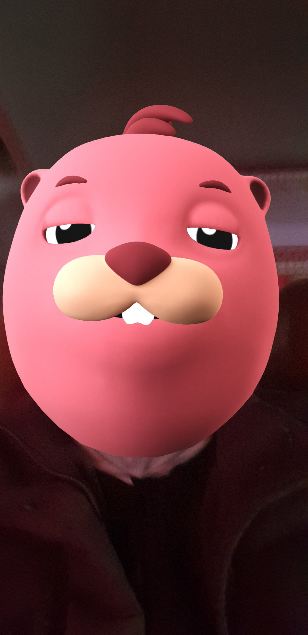 작성자 프로필 이미지