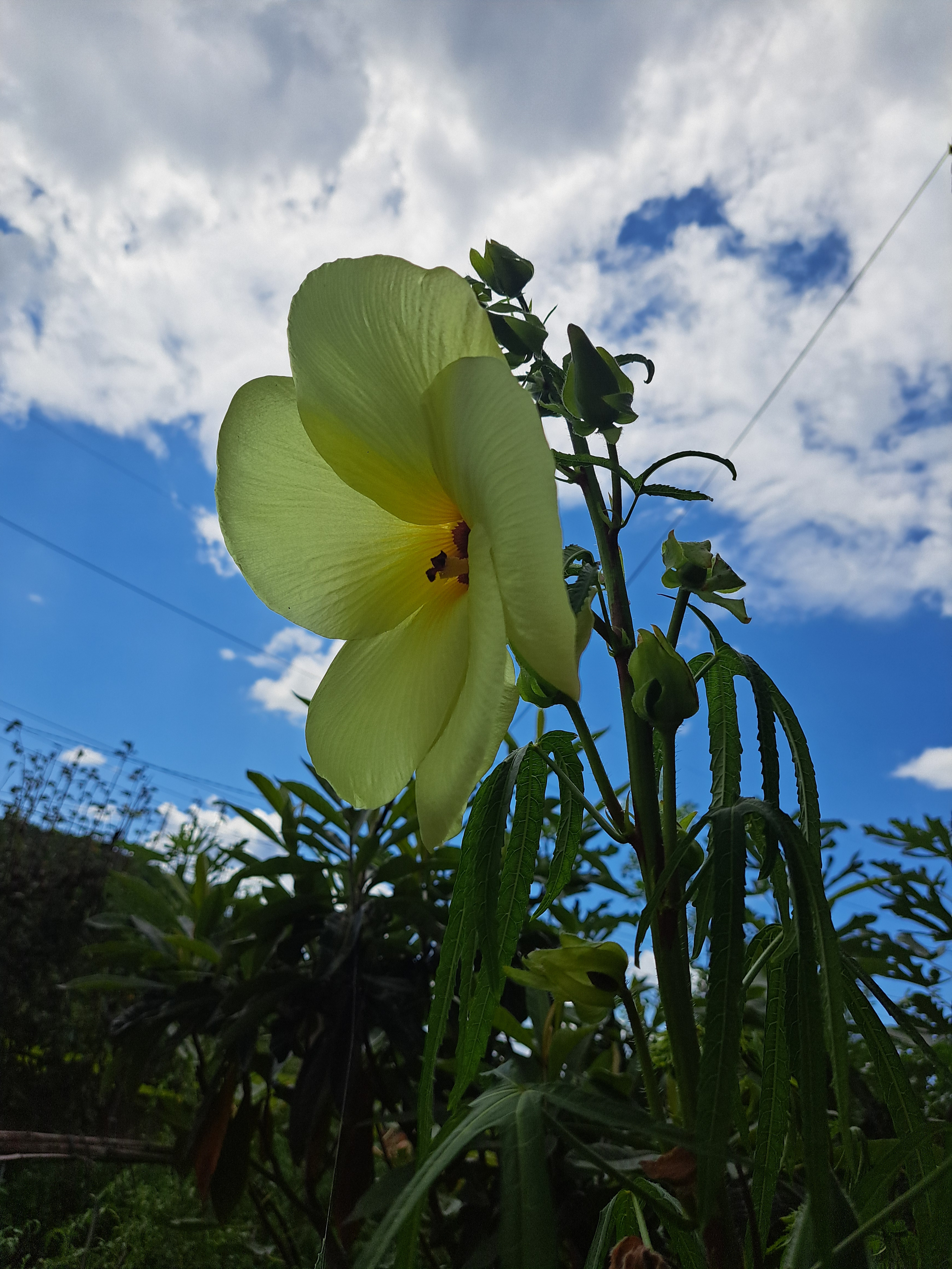 작성자 프로필 이미지