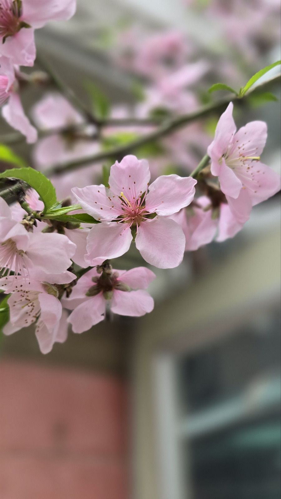 작성자 프로필 이미지