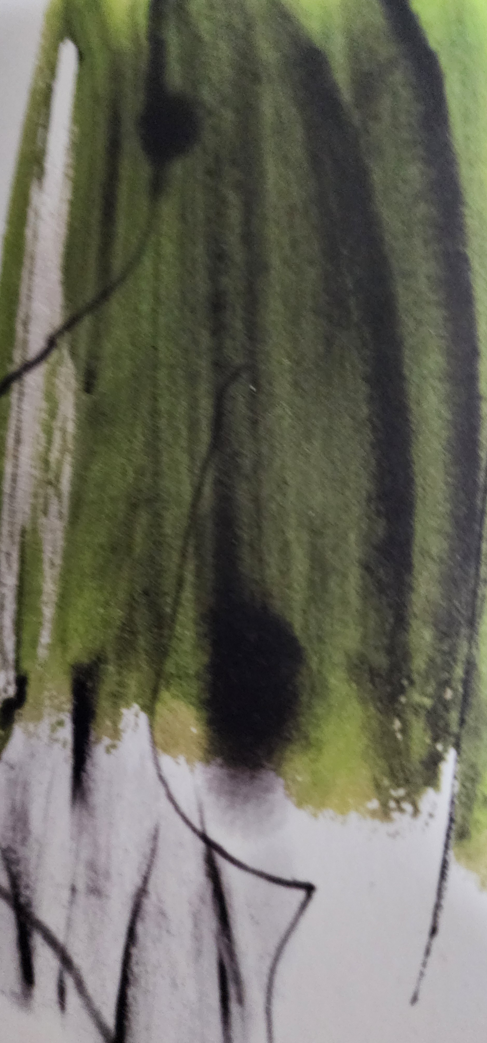 작성자 프로필 이미지