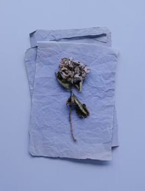 작성자 프로필 이미지