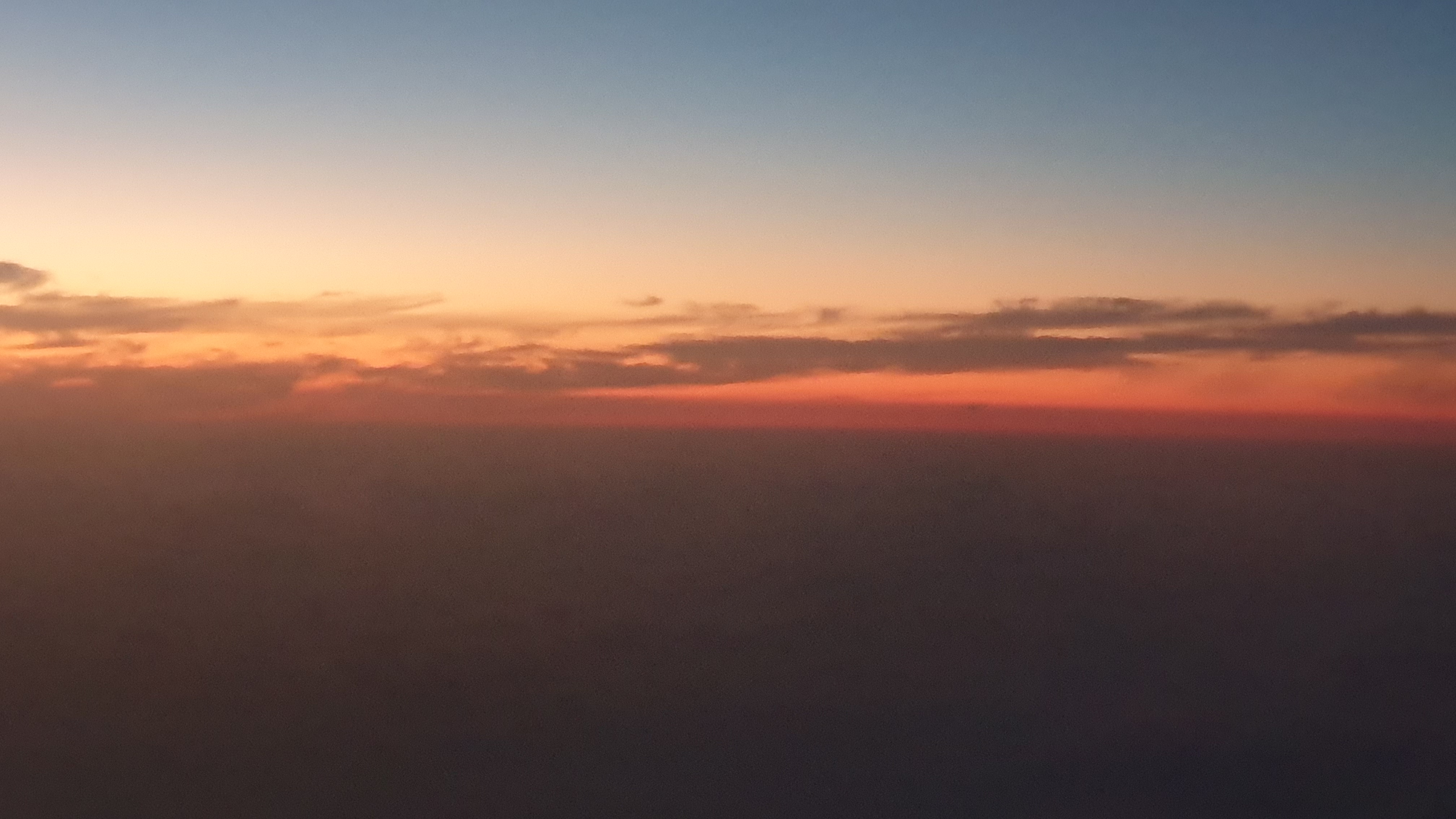 작성자 프로필 이미지