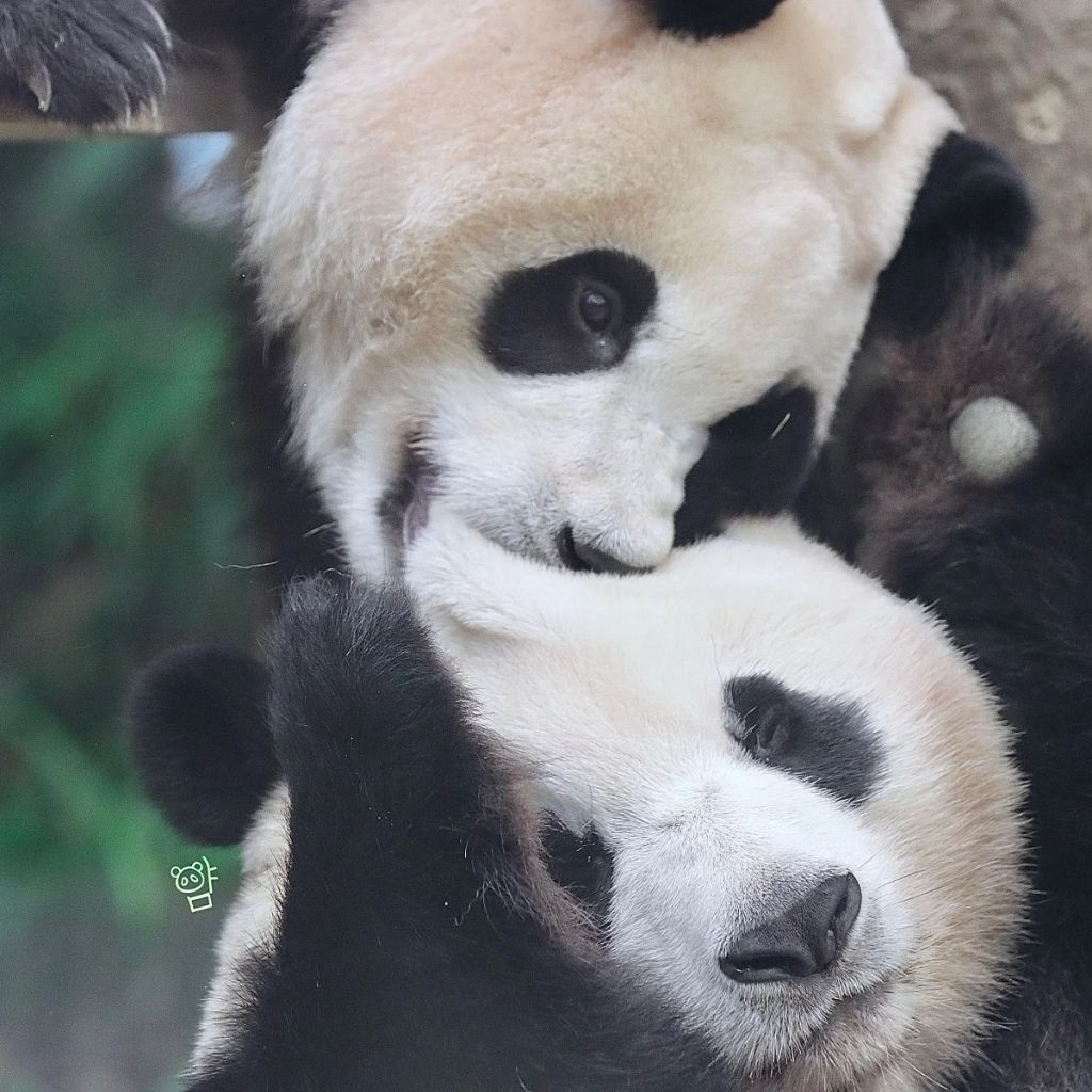 작성자 프로필 이미지