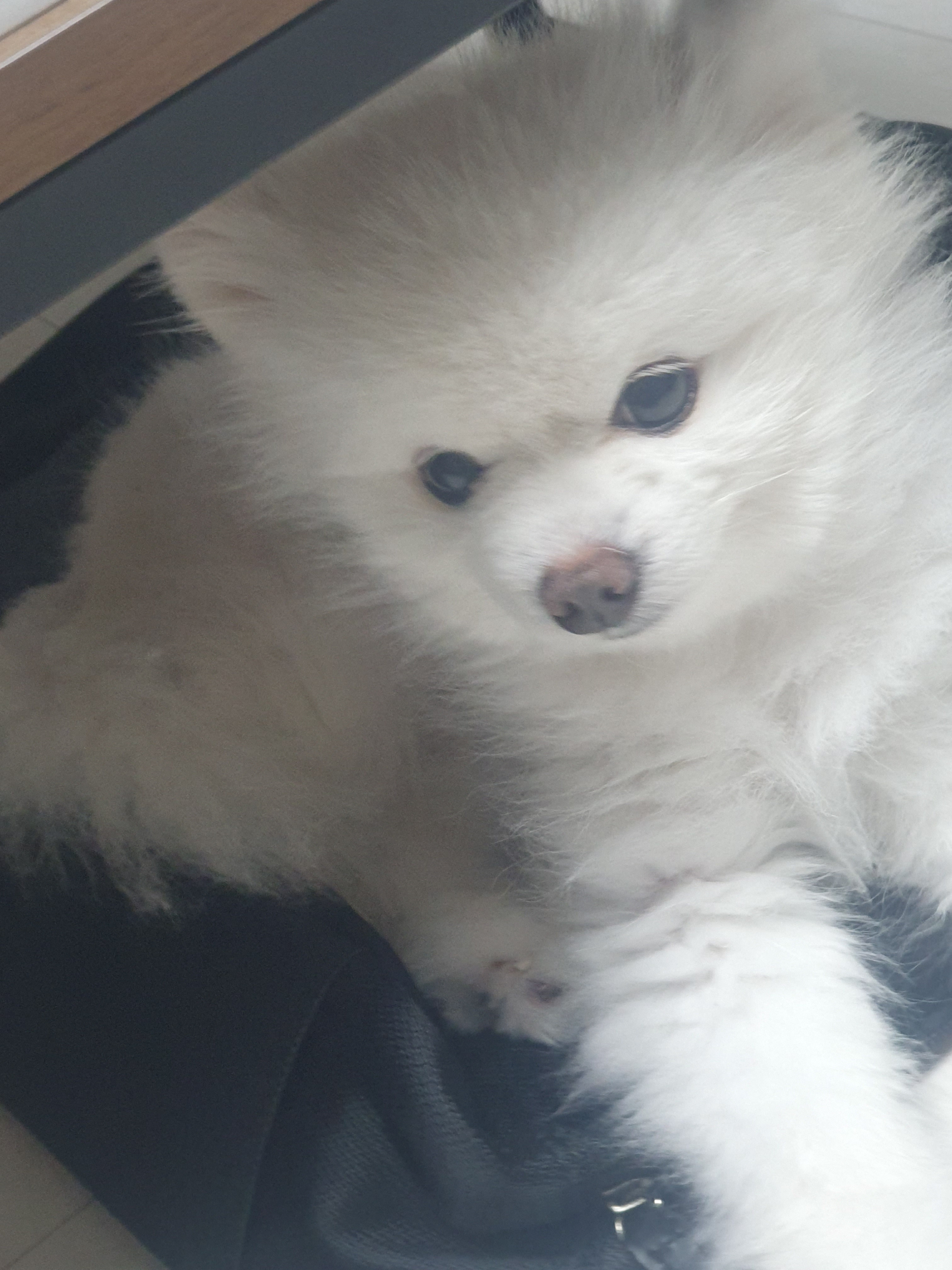 즐건 여행~~^^578 프로필 이미지