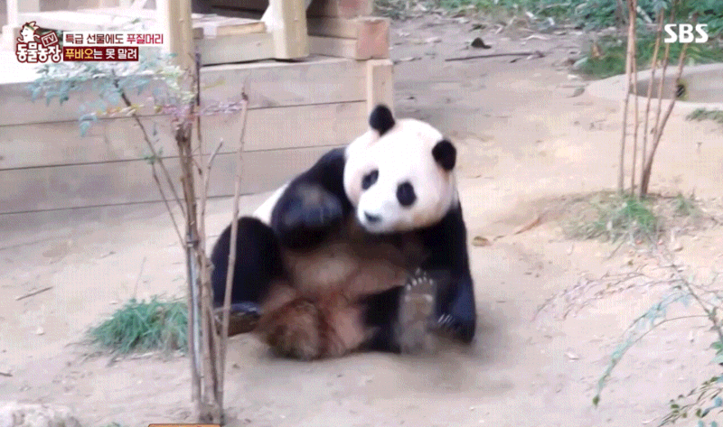 작성자 프로필 이미지