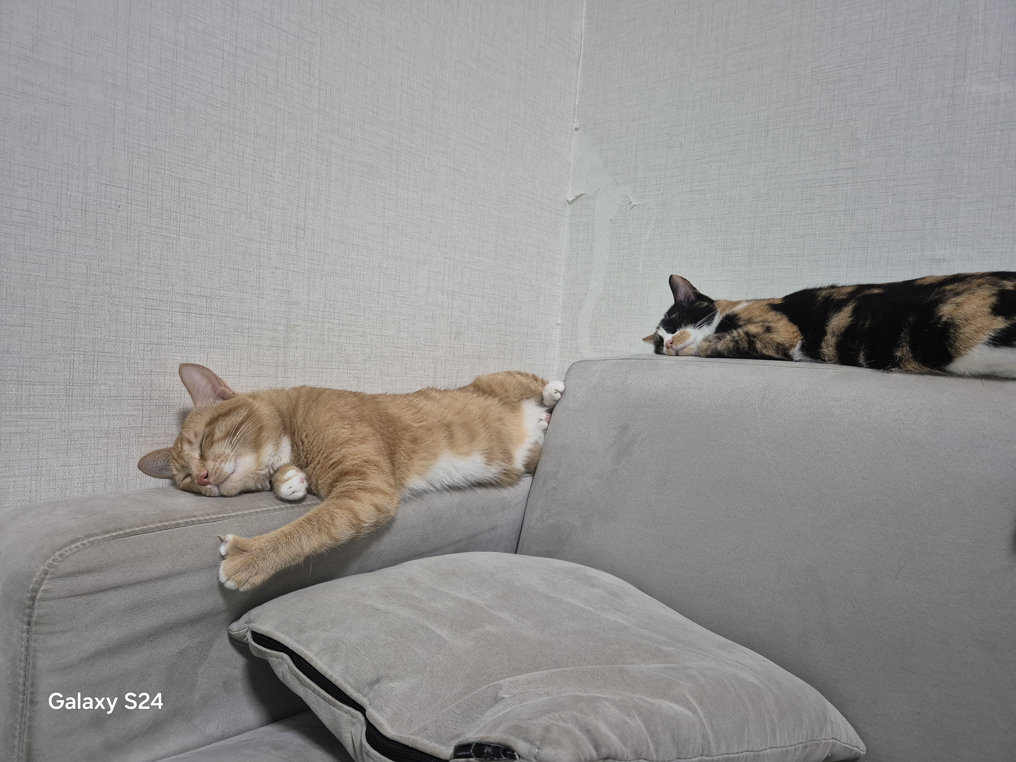 작성자 프로필 이미지