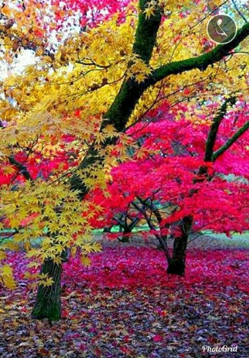 작성자 프로필 이미지