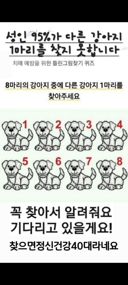 작성자 프로필 이미지