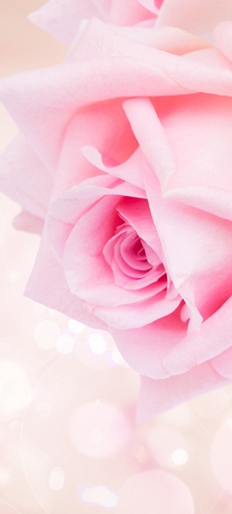 작성자 프로필 이미지