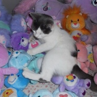 작성자 프로필 이미지