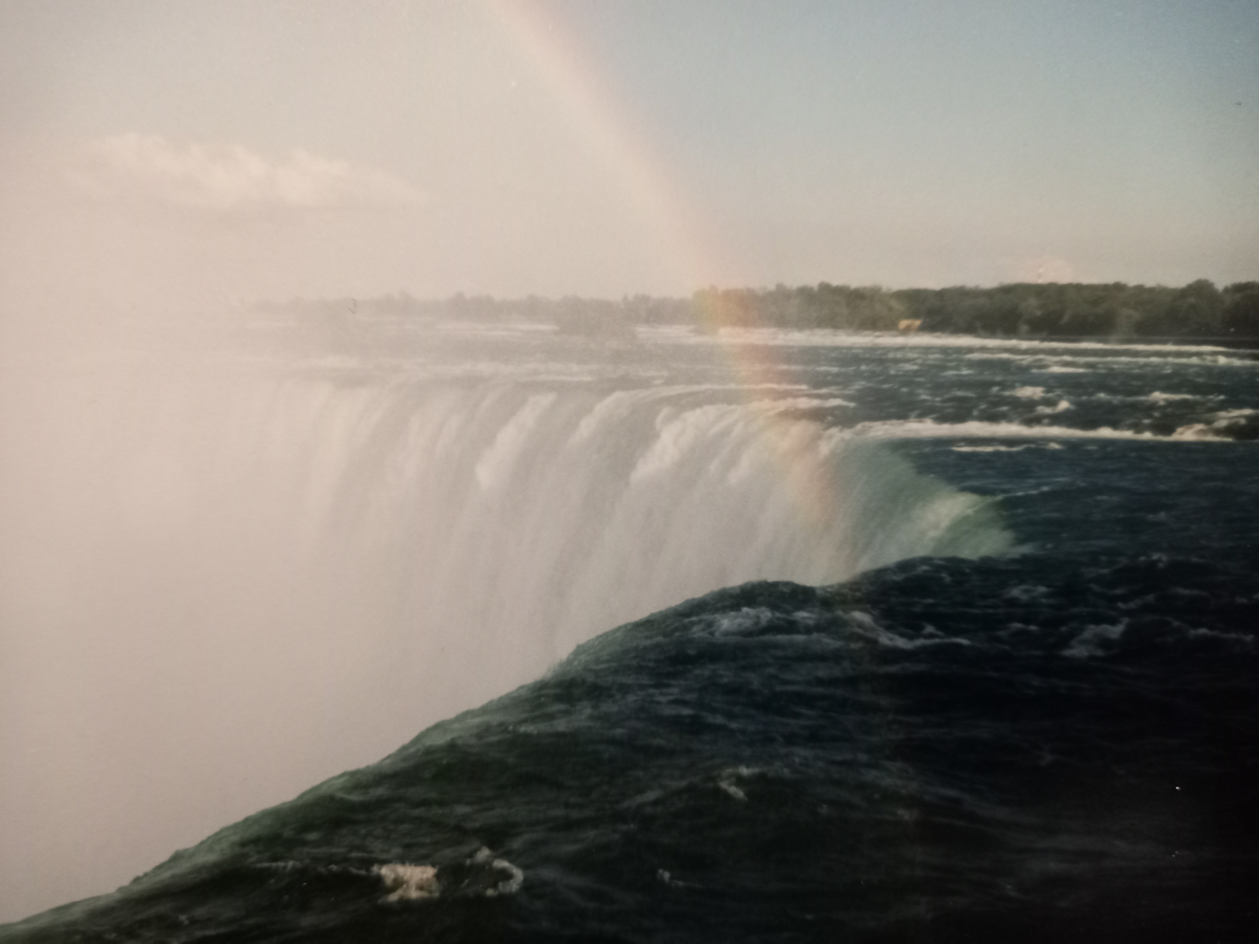 작성자 프로필 이미지