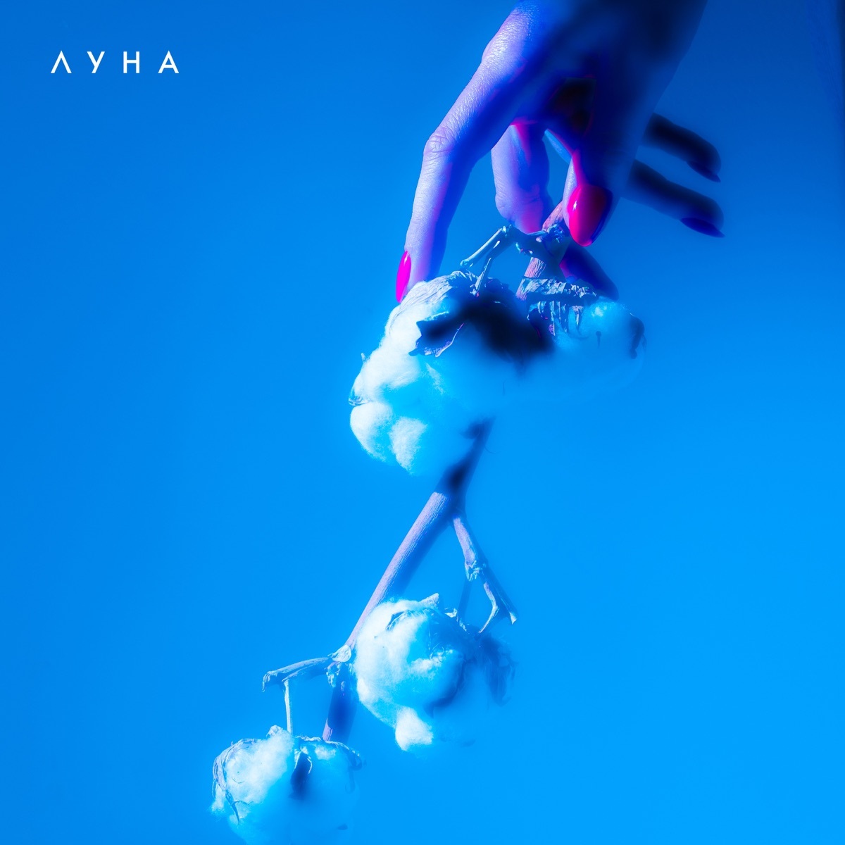 Анна 프로필 이미지