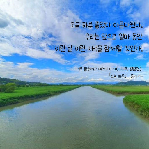 작성자 프로필 이미지