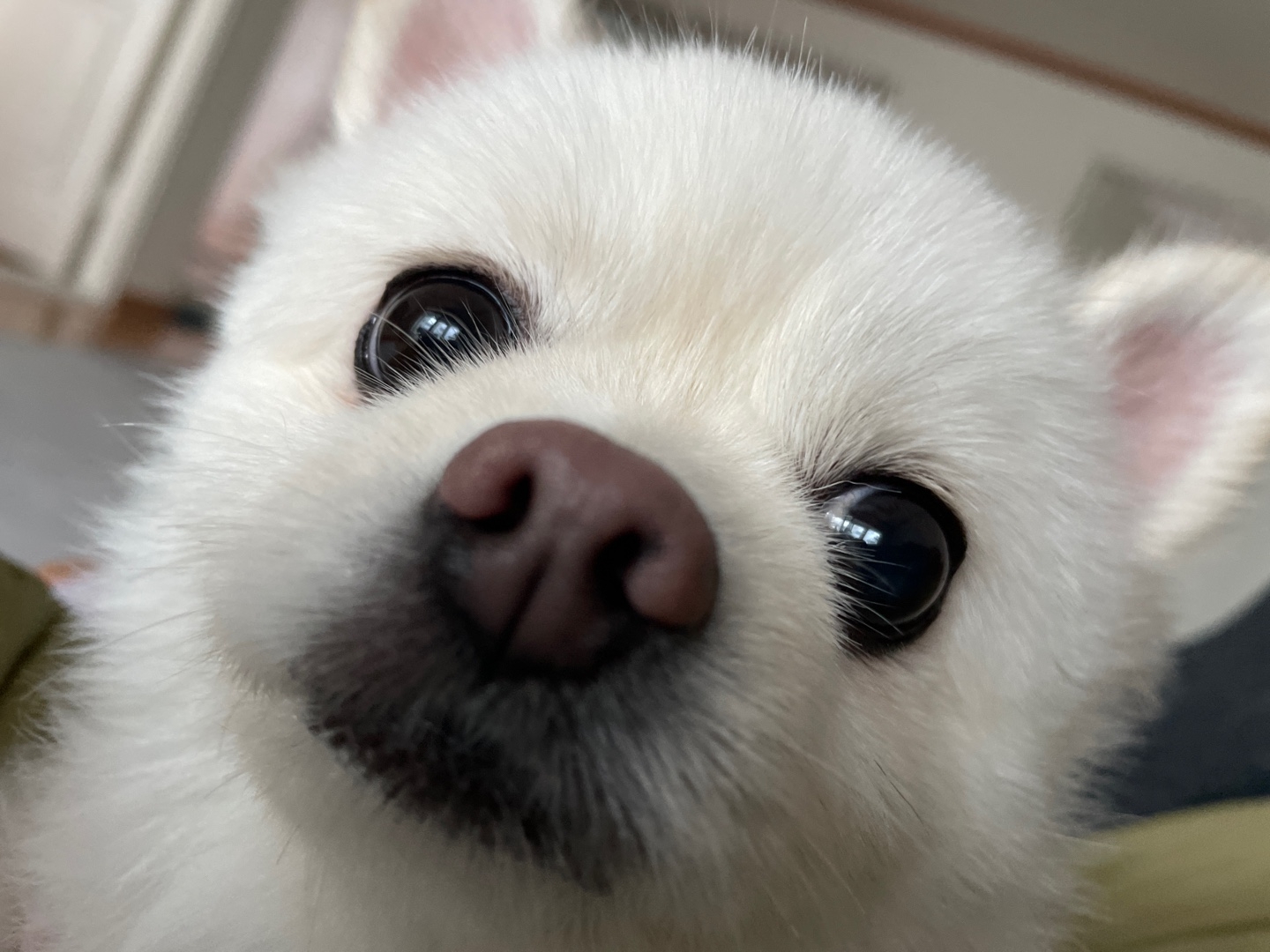 작성자 프로필 이미지