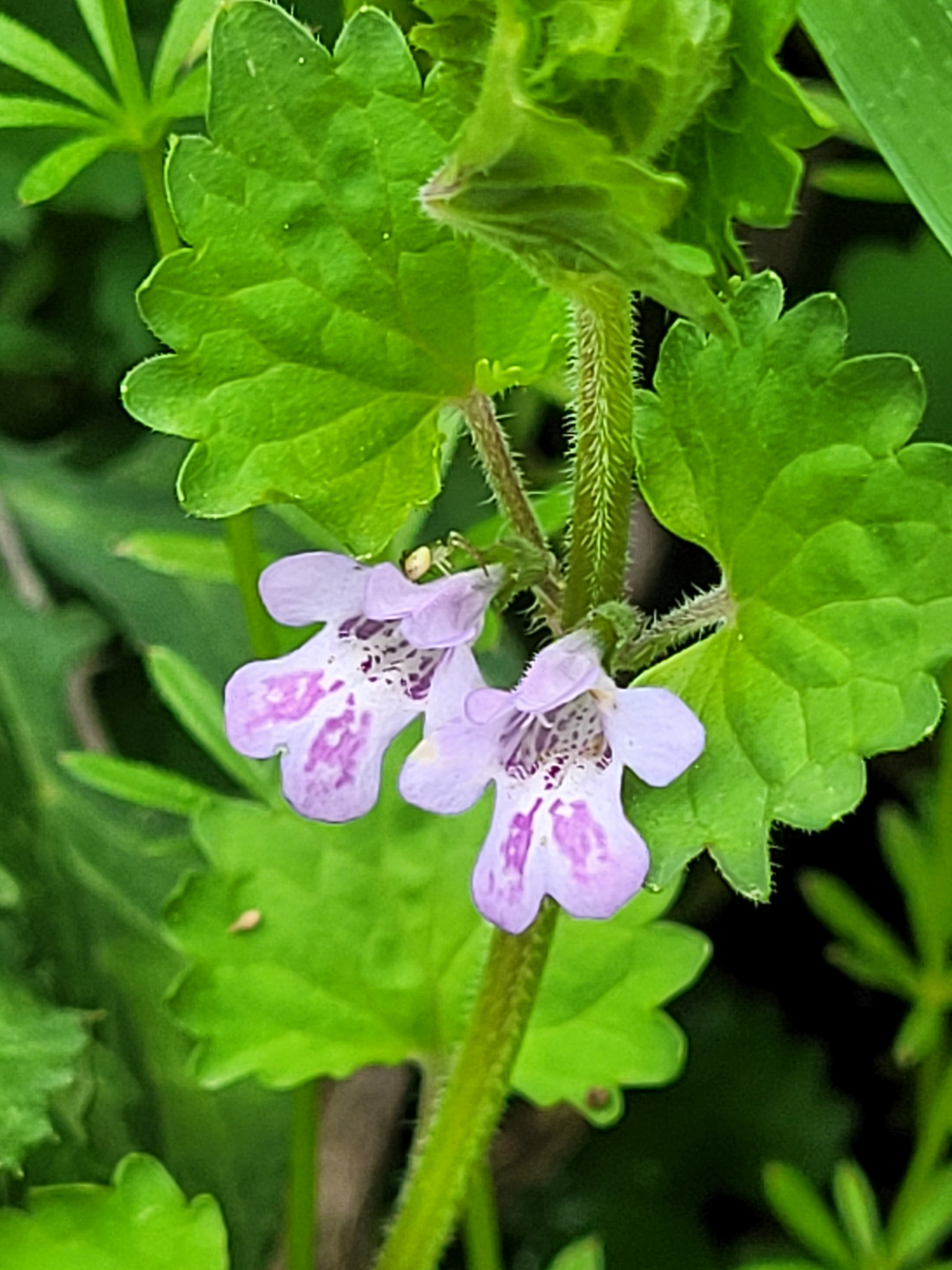 작성자 프로필 이미지