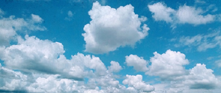 작성자 프로필 이미지