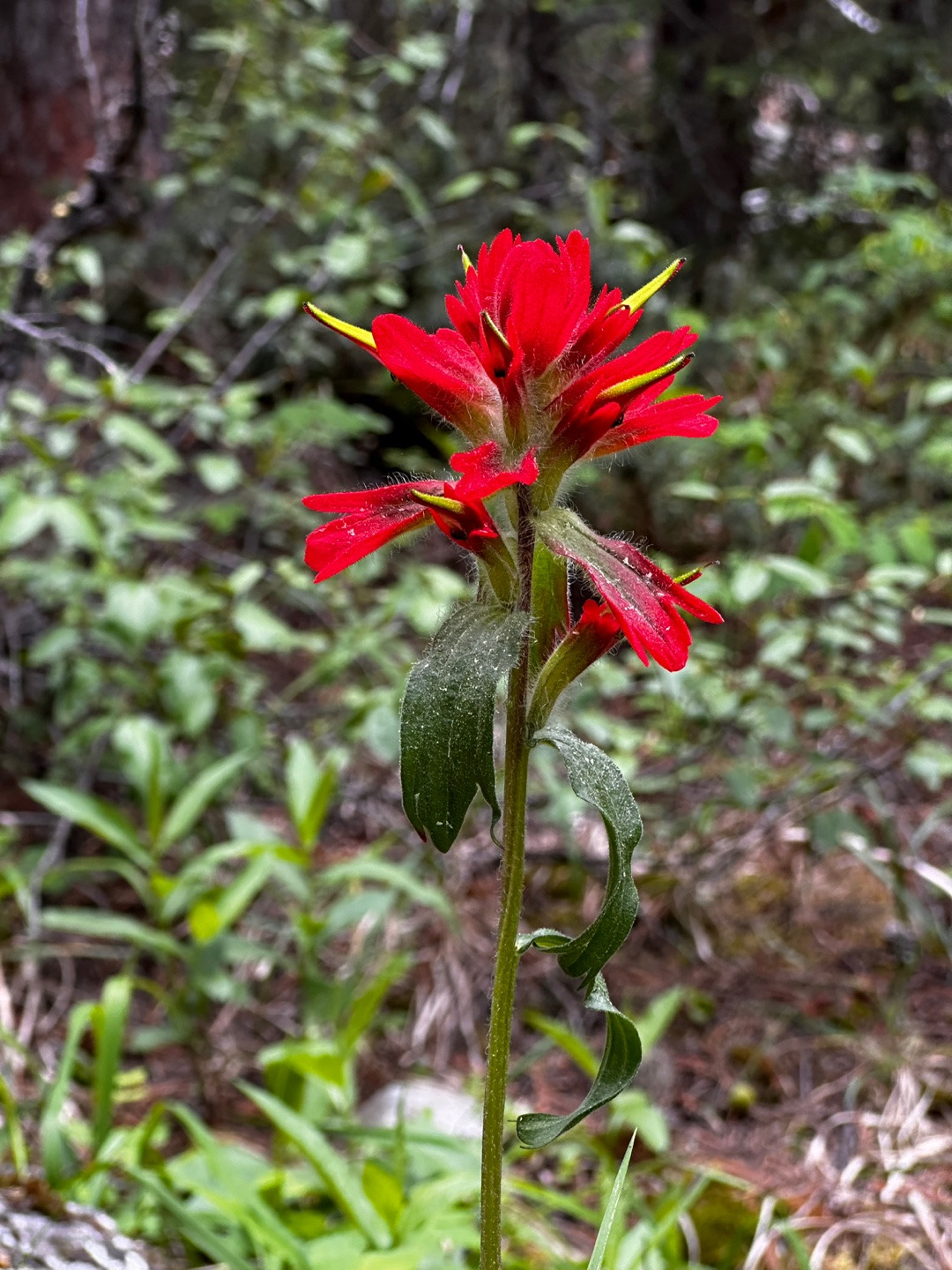 작성자 프로필 이미지