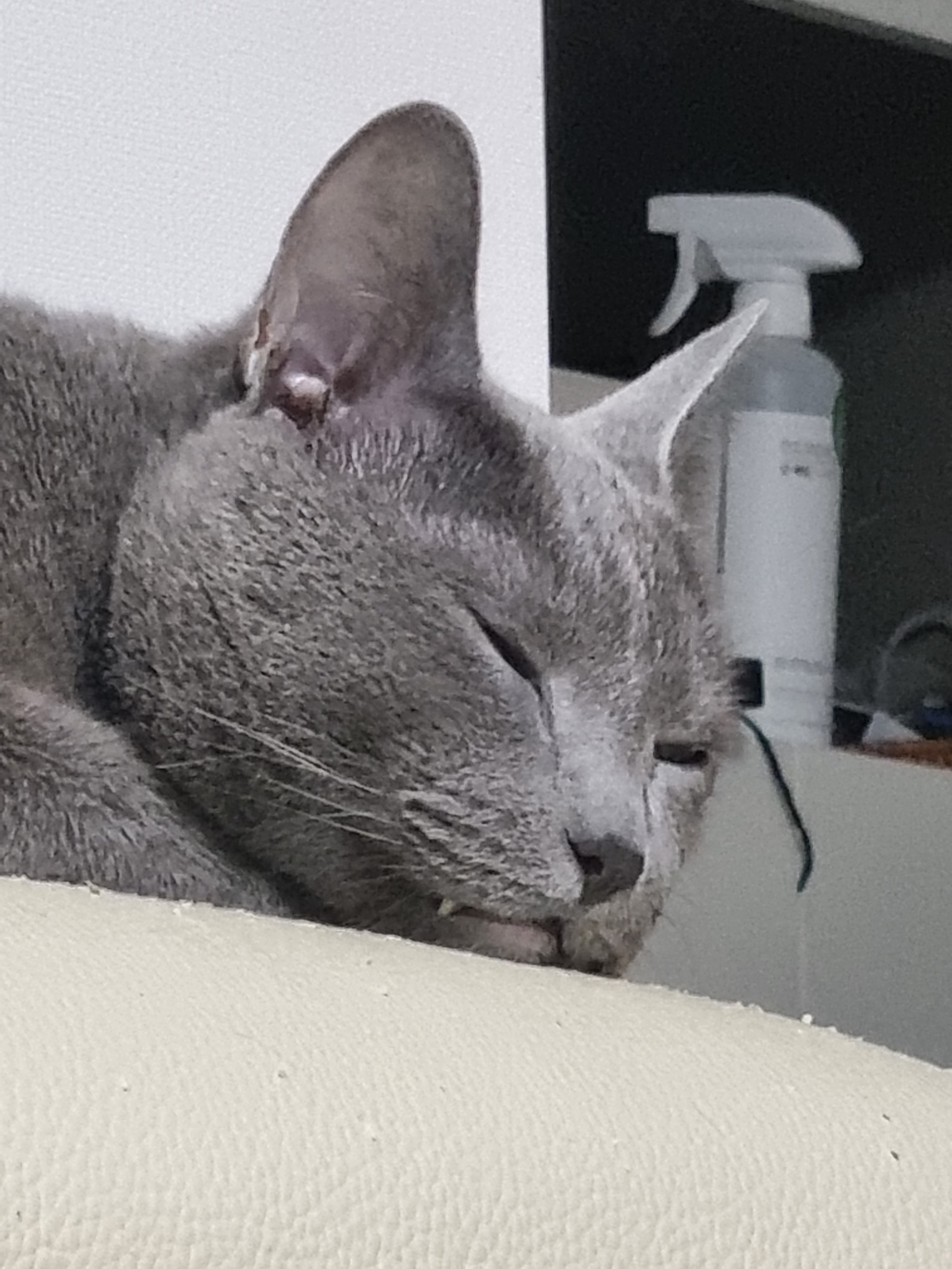 작성자 프로필 이미지