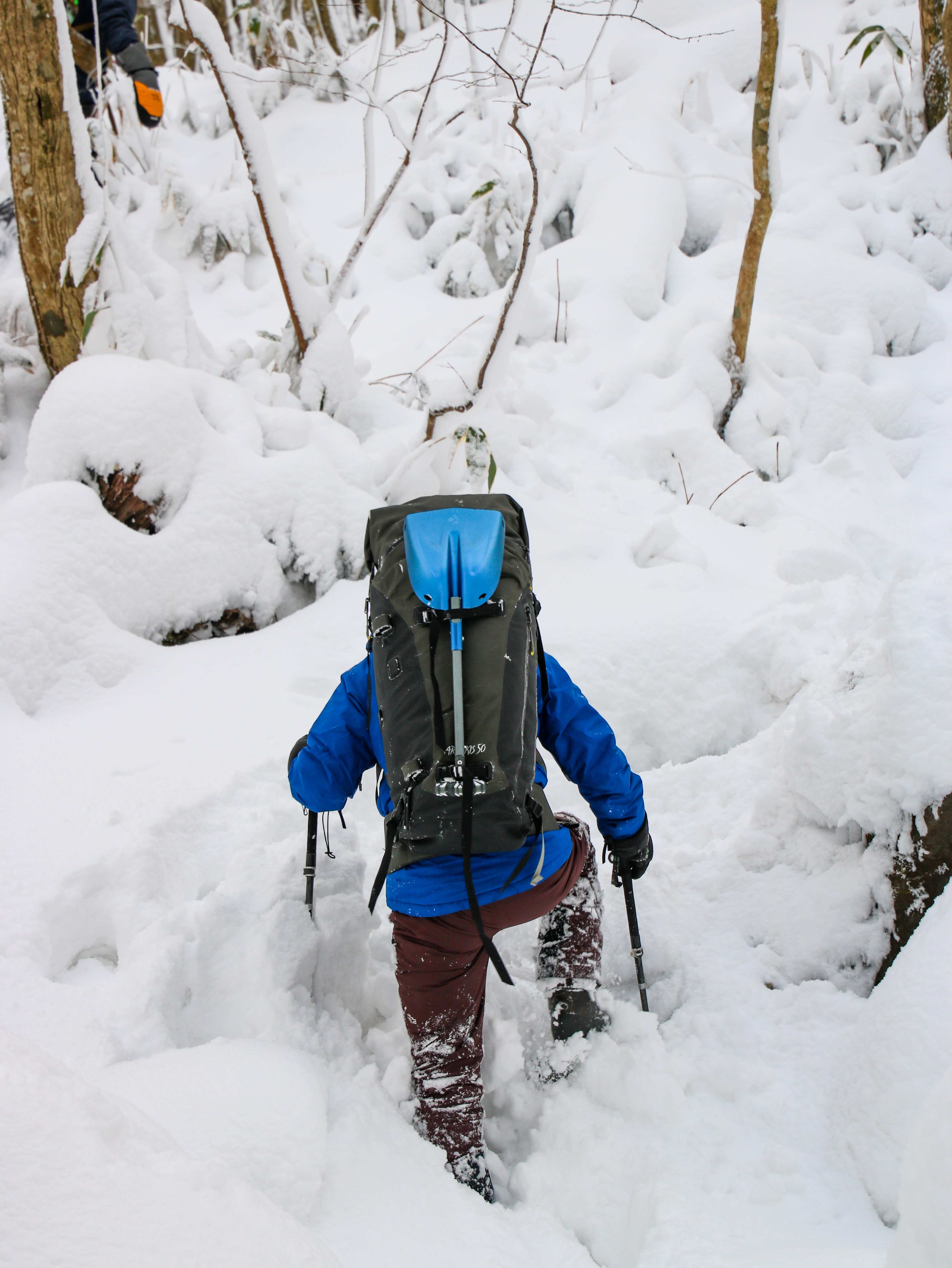 작성자 프로필 이미지