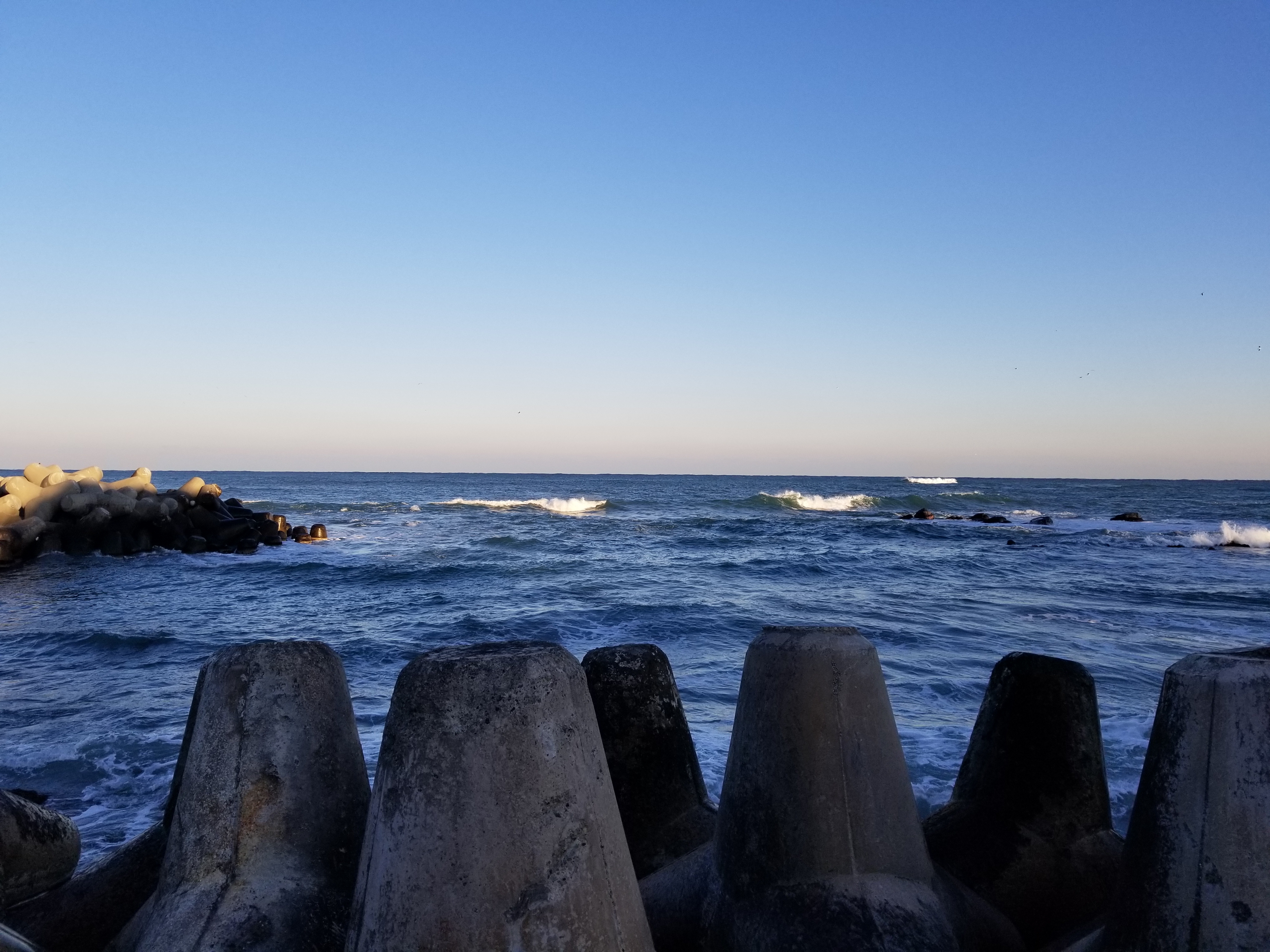 작성자 프로필 이미지