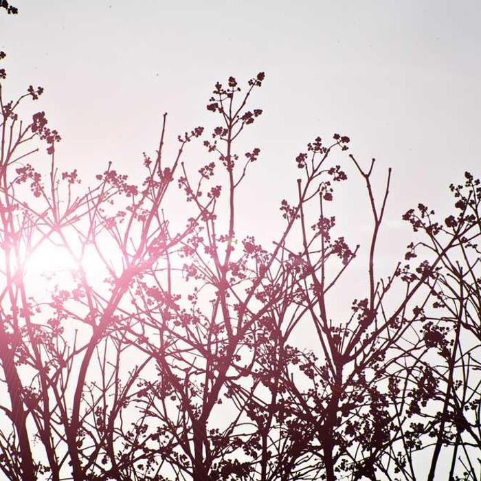 작성자 프로필 이미지