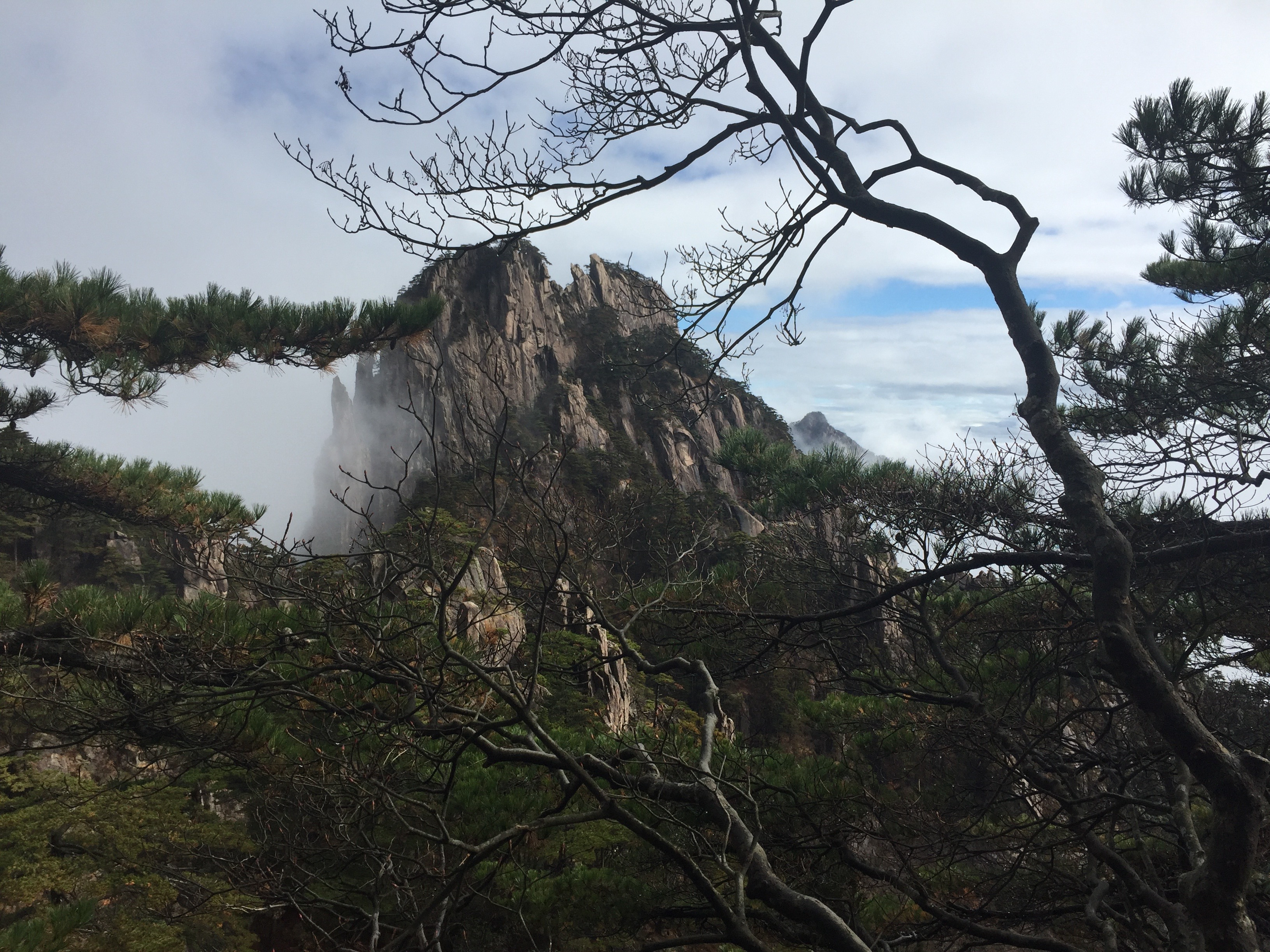 작성자 프로필 이미지