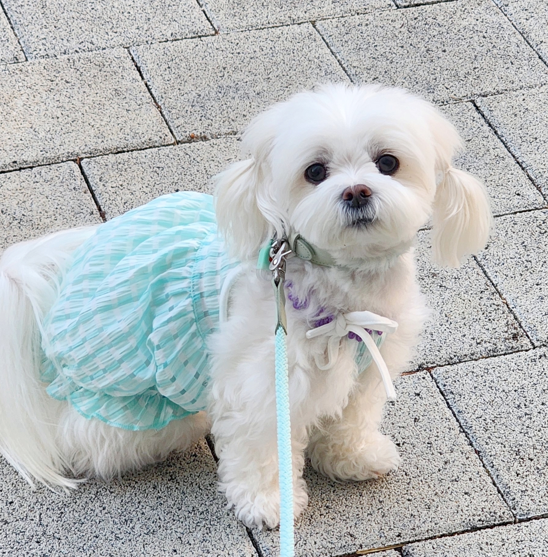 작성자 프로필 이미지