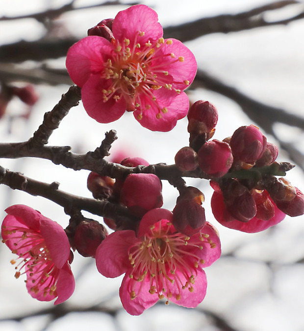 작성자 프로필 이미지