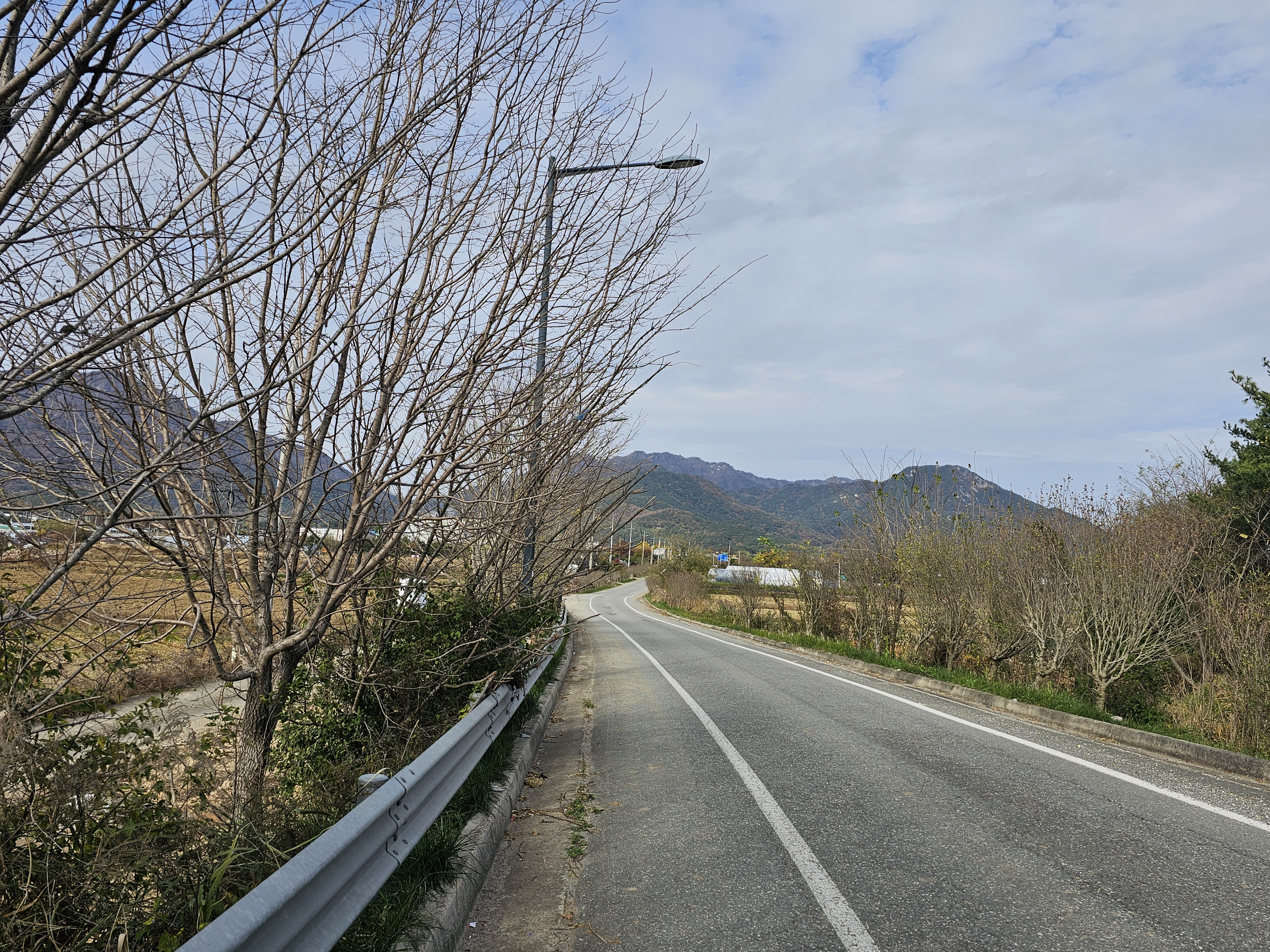 작성자 프로필 이미지