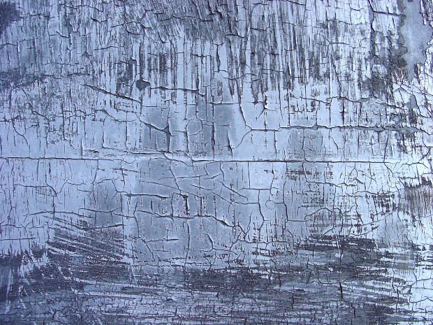 작성자 프로필 이미지