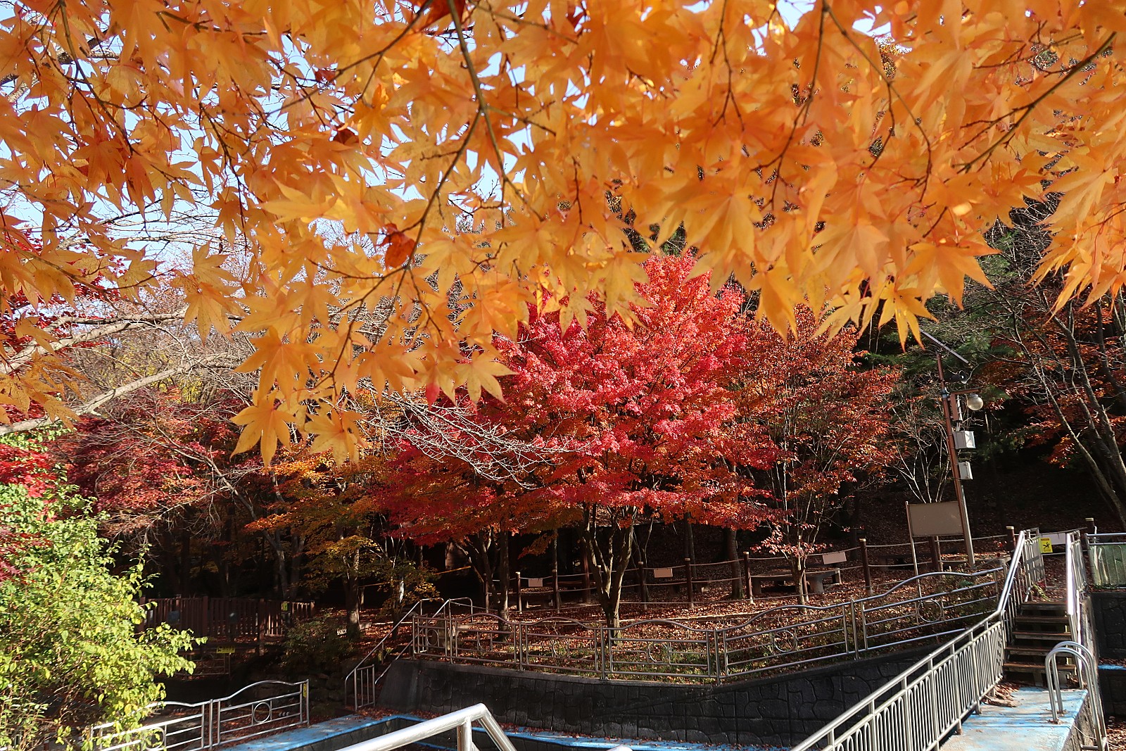 작성자 프로필 이미지