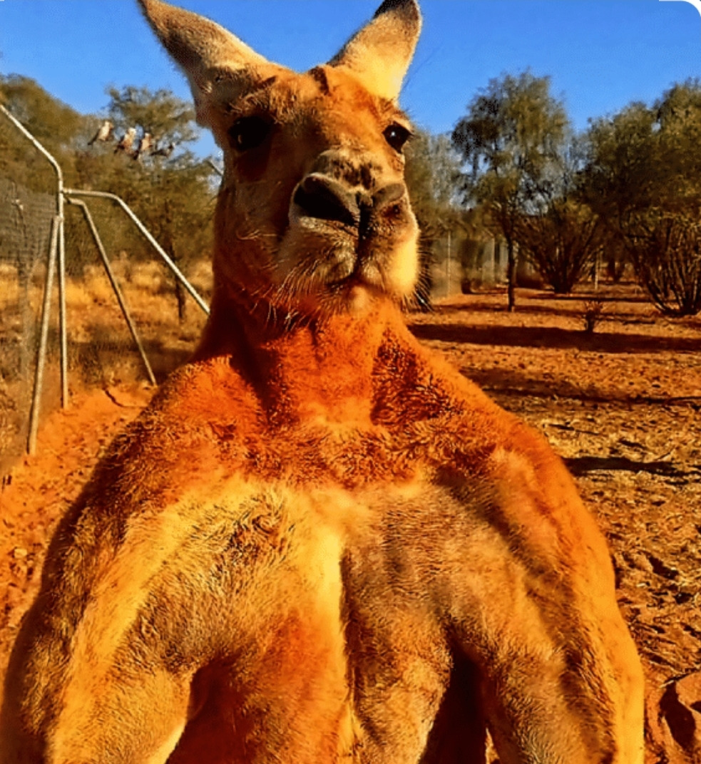 작성자 프로필 이미지