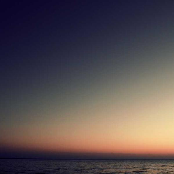 작성자 프로필 이미지