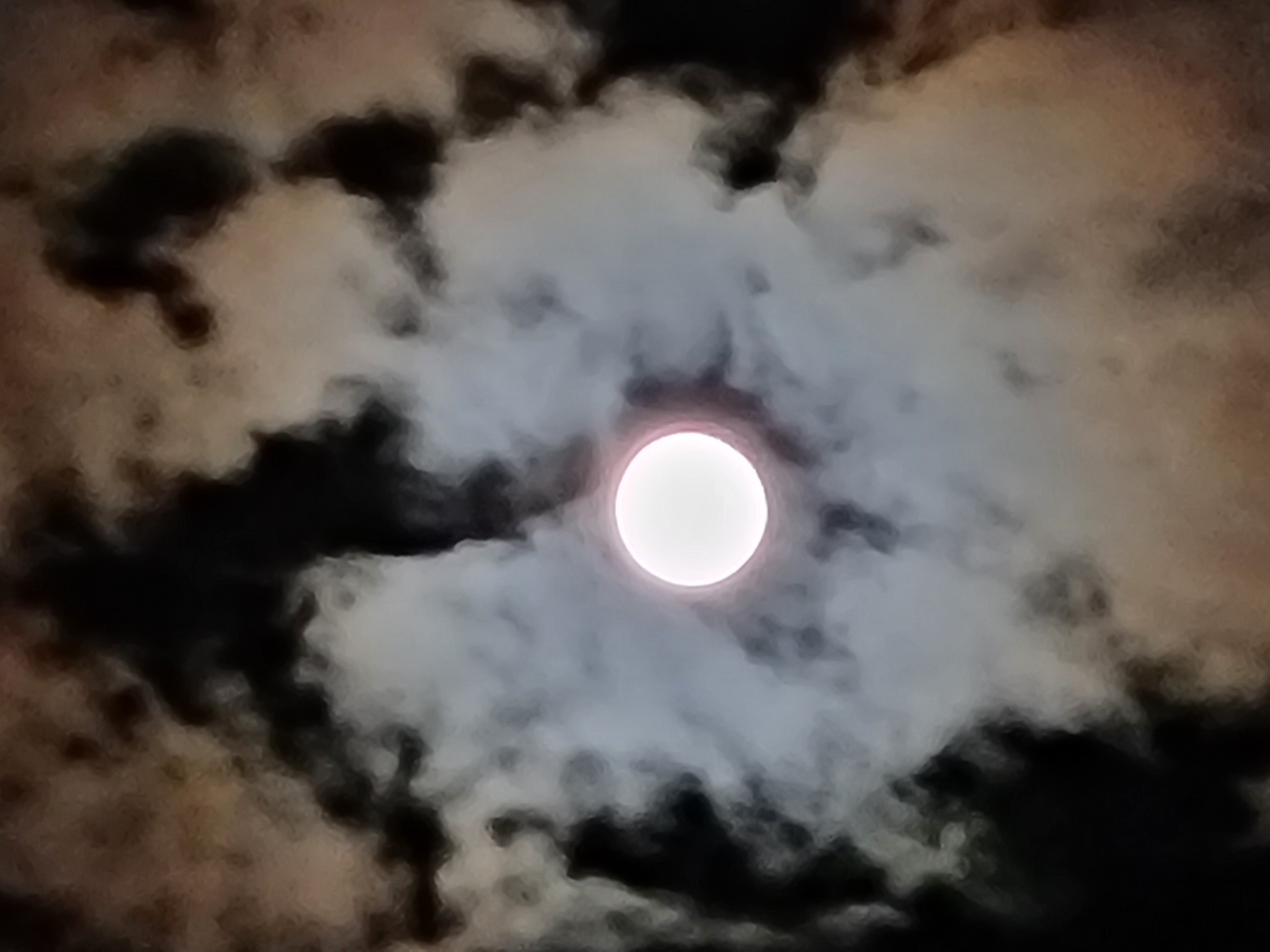 작성자 프로필 이미지