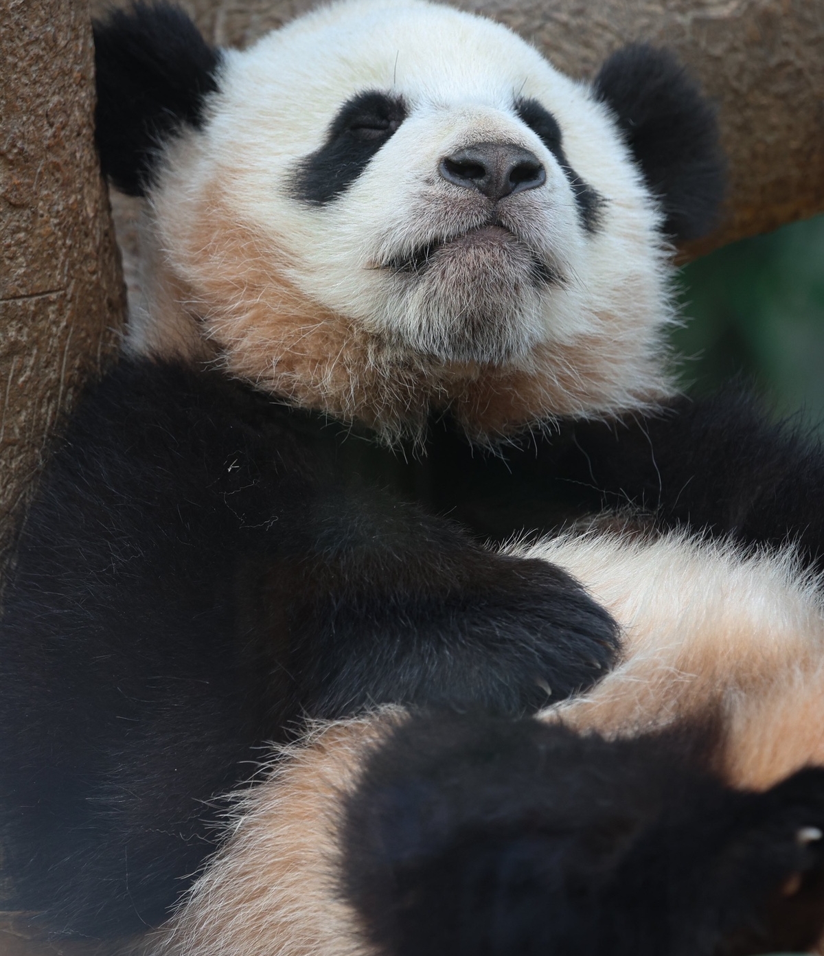 작성자 프로필 이미지