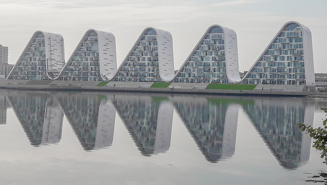 작성자 프로필 이미지