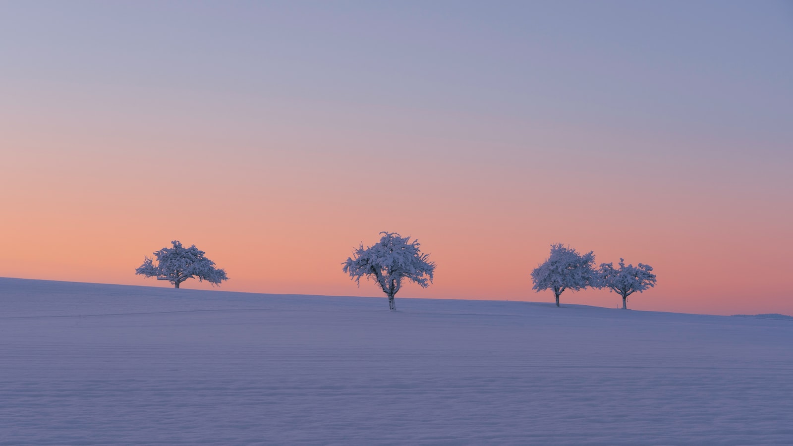 작성자 프로필 이미지