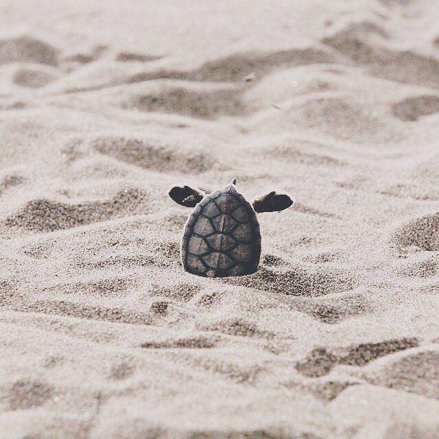 작성자 프로필 이미지