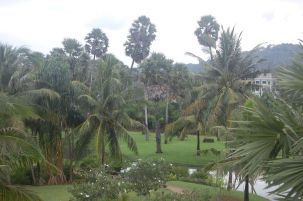 작성자 프로필 이미지